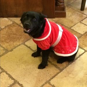 Meet your Posher, Carolyn